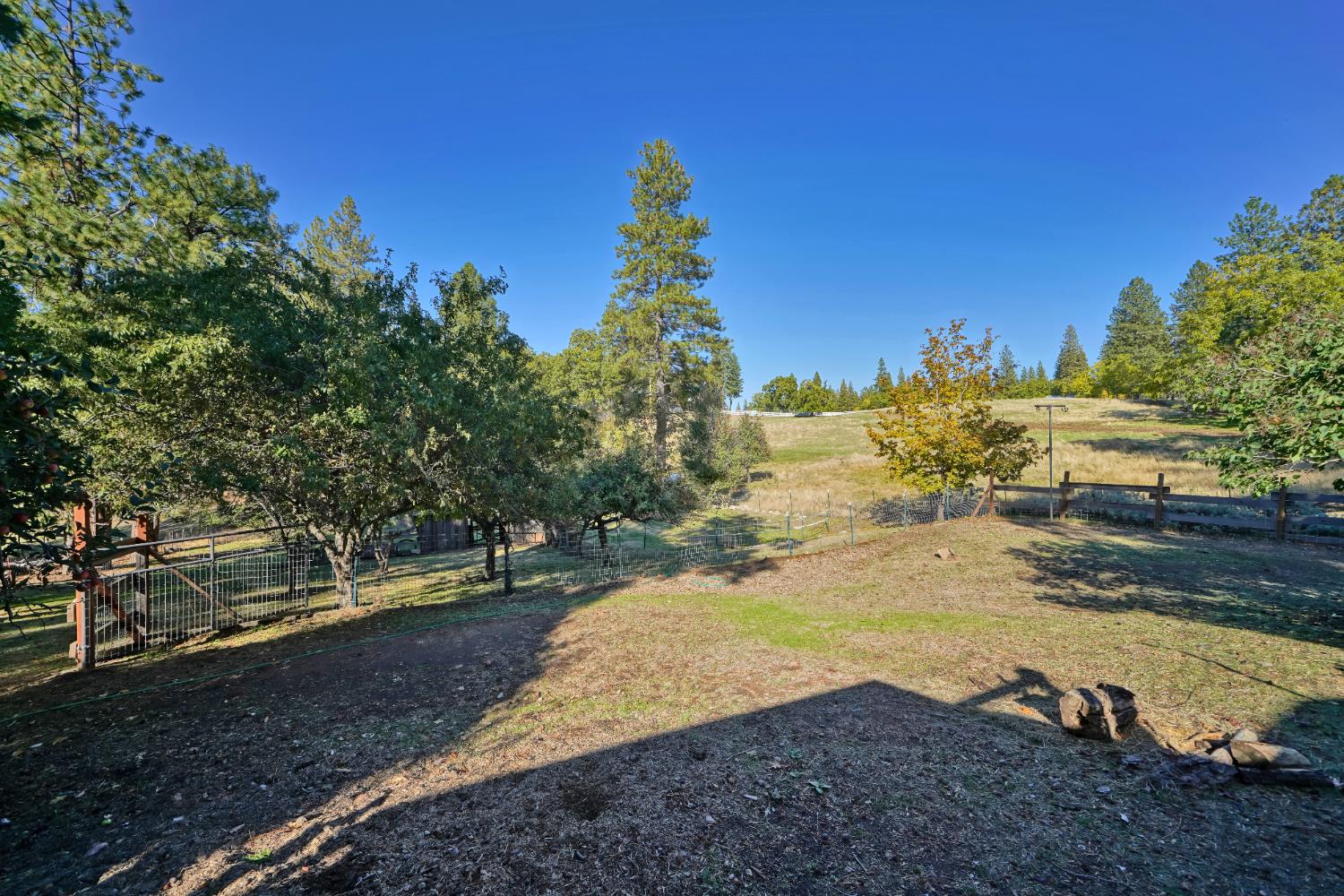 8205 Grizzly Flat Road Somerset, CA 95684 - Photo 49 of 59