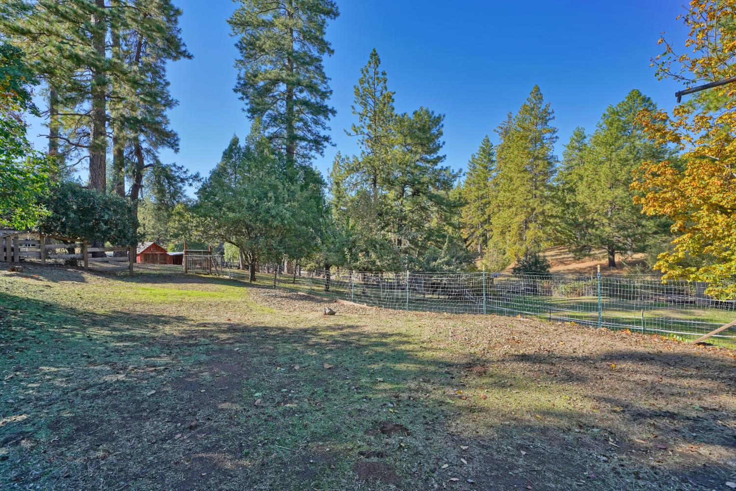 8205 Grizzly Flat Road Somerset, CA 95684 - Photo 50 of 59