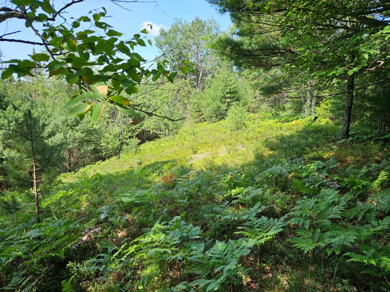 Off Hunter Haven Road Rhinelander, WI 54501 - Photo 3 of 13 Gallery Image 3