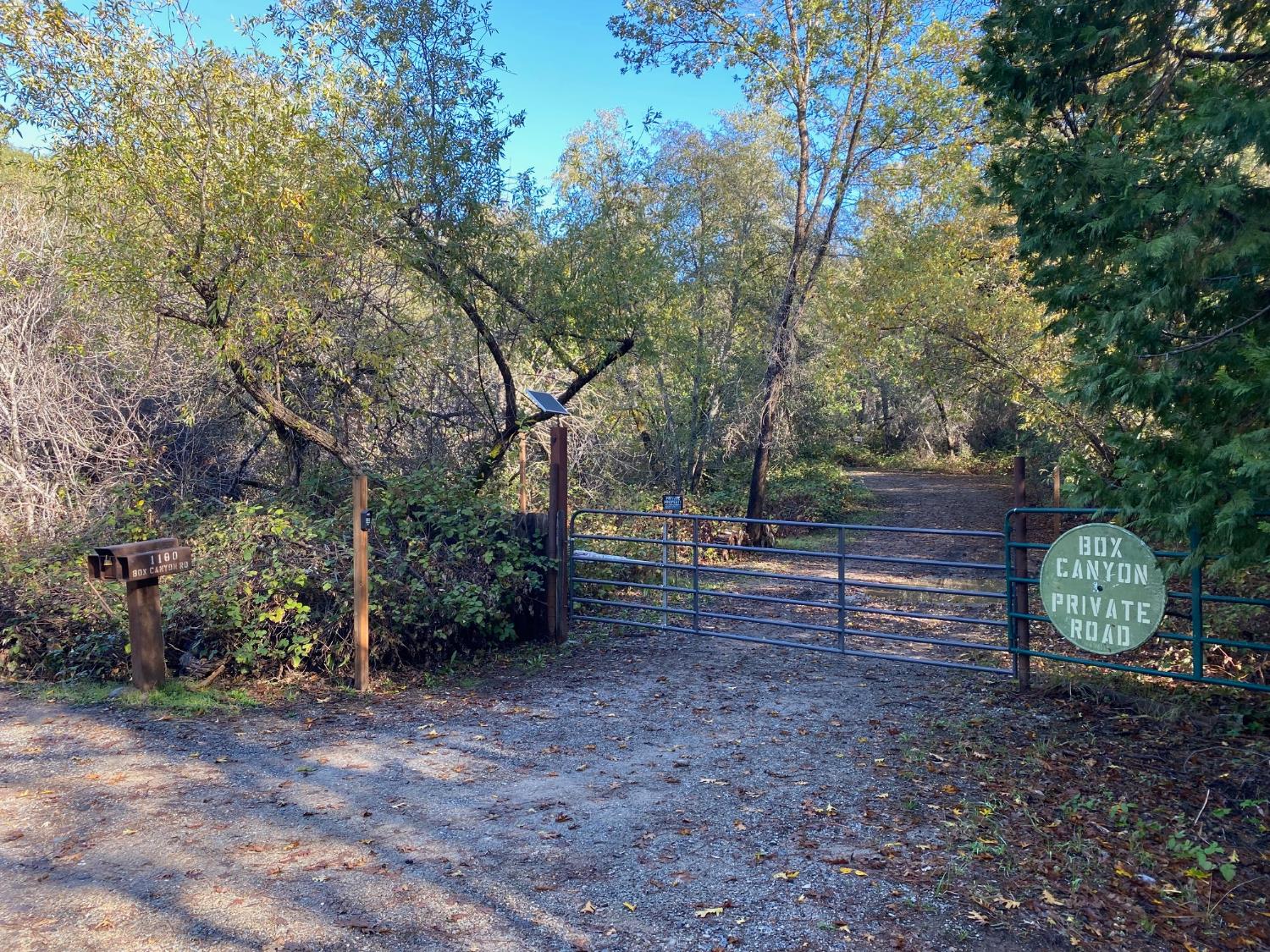 a view of a yard with large trees