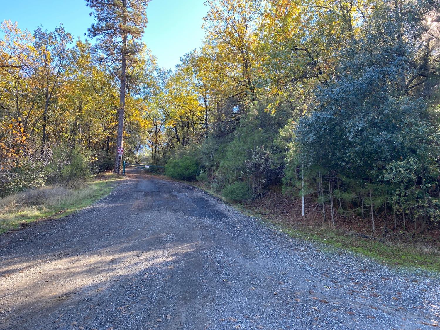 0 Big Cut Road Placerville, CA 95667 - Photo 2 of 6 a view of a forest with trees in the background