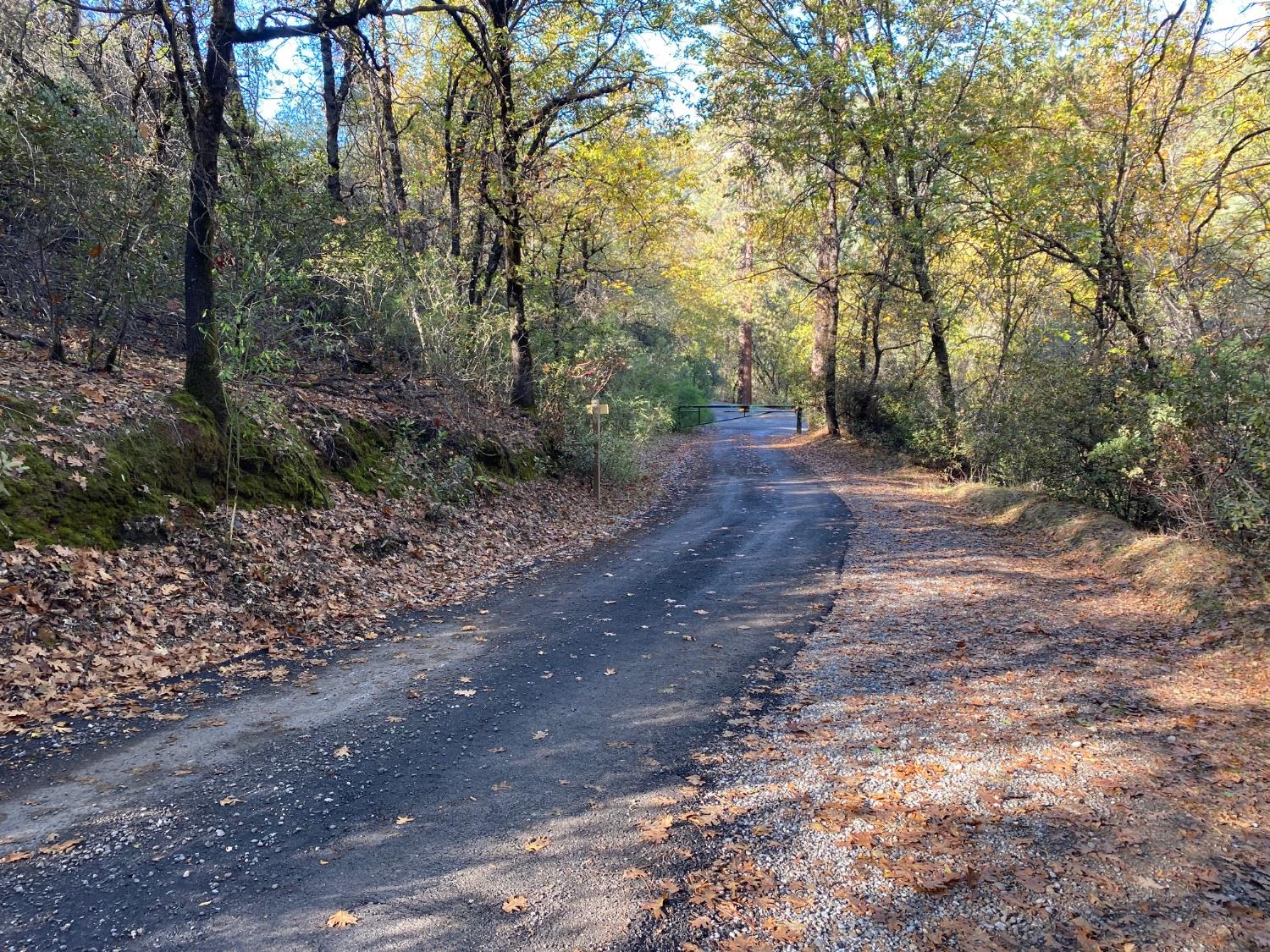 0 Big Cut Road Placerville, CA 95667 - Photo 3 of 6 a view of a yard with large trees