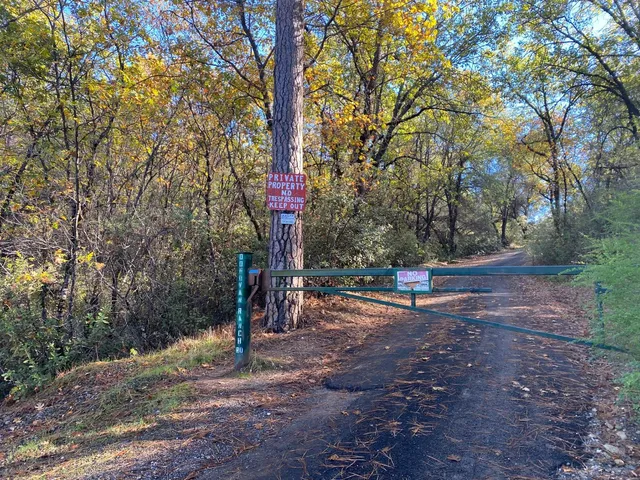 a park view with a tree