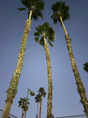 $220,000 | 78650 Ave 42, Unit 210, Bermuda Dunes, CA 92203