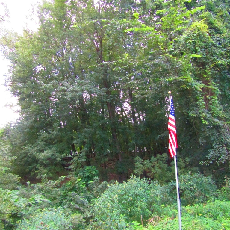 79 Aqua Vitae Road Hadley, MA 01035 - Photo 21 of 25 a street view