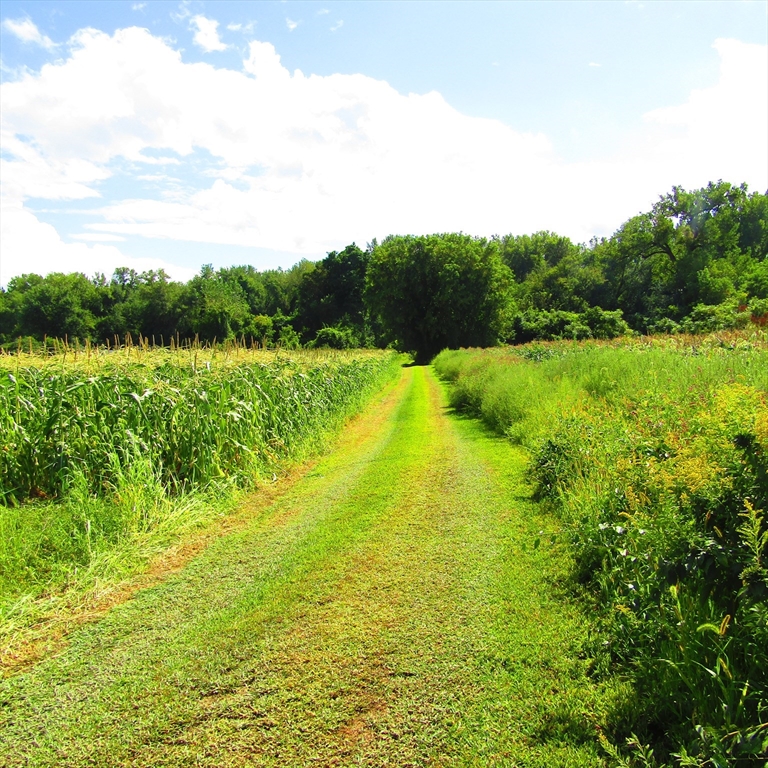 79 Aqua Vitae Road Hadley, MA 01035 - Photo 24 of 25 a view of a lake with a yard