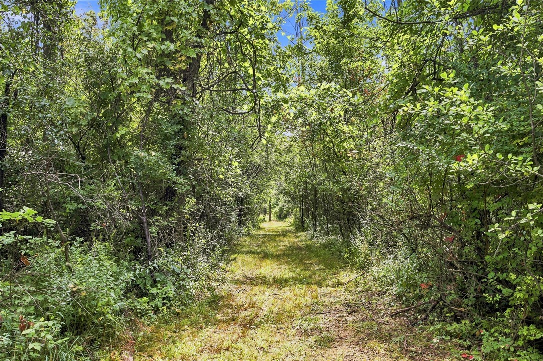 Sherman Hollow Road Branchport, NY 14418 - Photo 11 of 33 Gallery Image 11