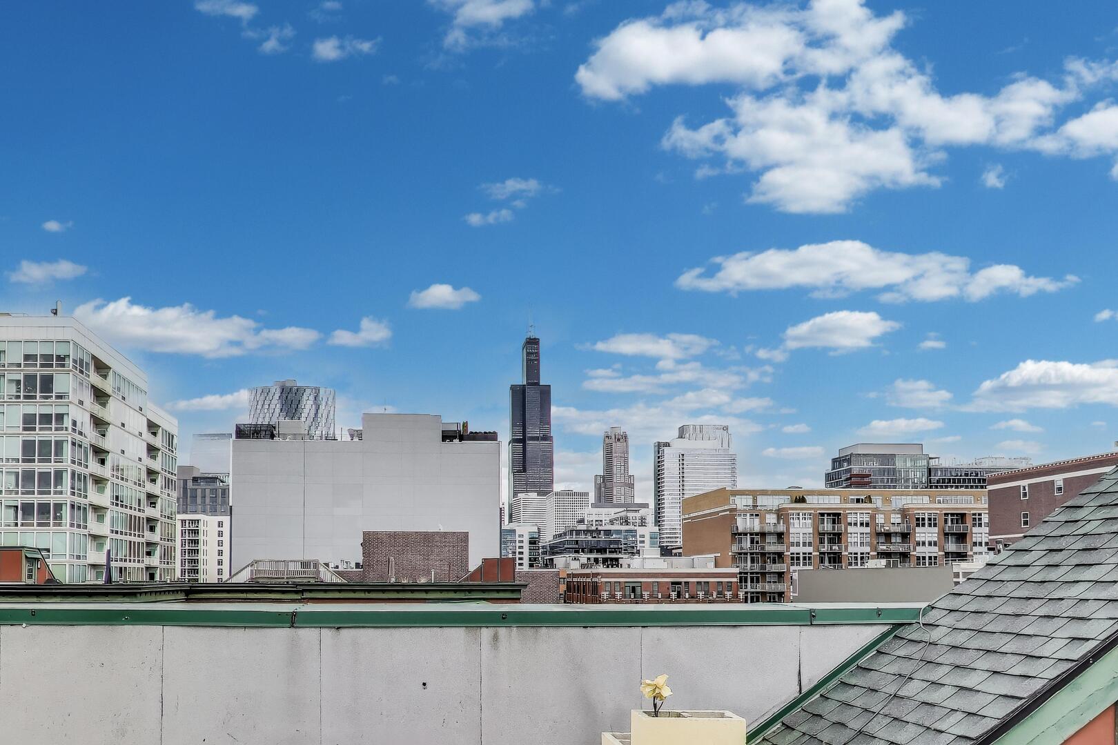 1034 West Monroe Street Chicago, IL 60607 - Photo 23 of 26