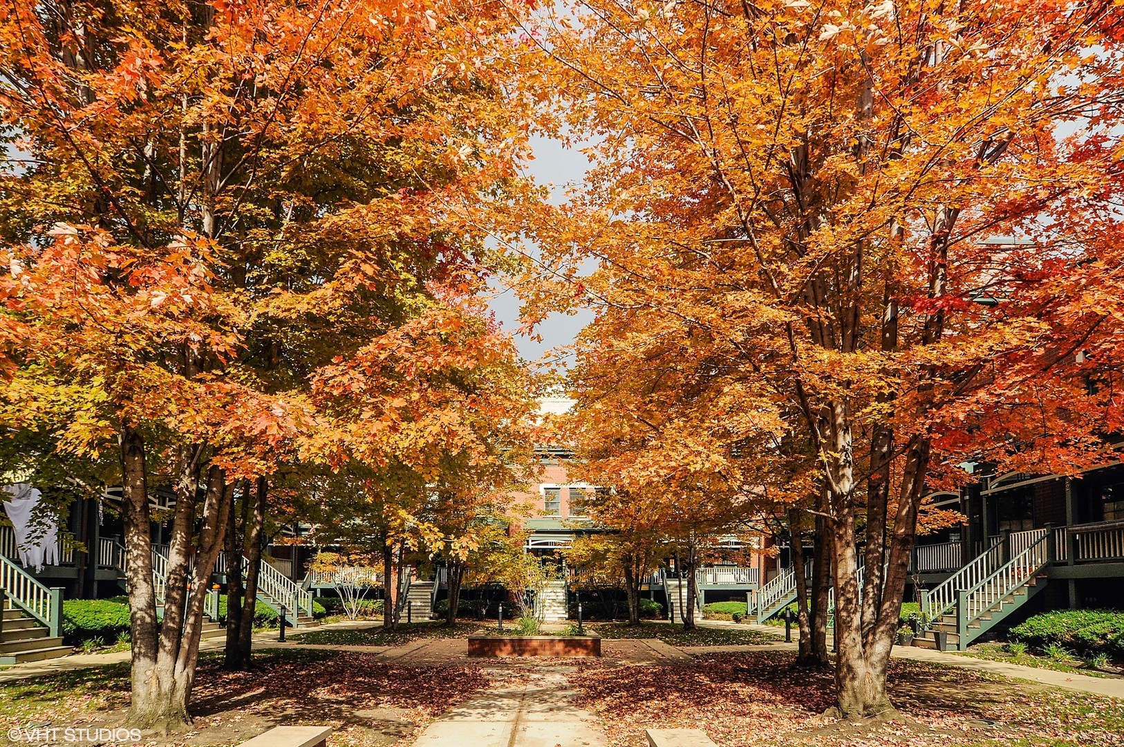 1034 West Monroe Street Chicago, IL 60607 - Photo 25 of 26 a view of a yard with a tree