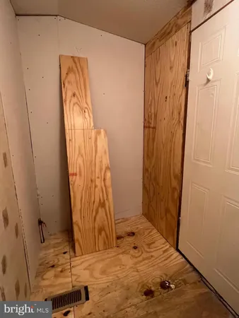 a view of a backyard with plants and large trees