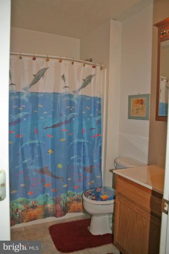 330 Ruebuck Road Clear Brook, VA 22624 - Photo 14 of 20 Bath