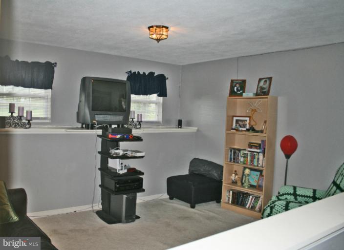 330 Ruebuck Road Clear Brook, VA 22624 - Photo 4 of 20 Family Room