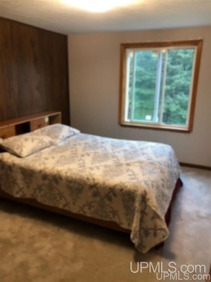 4810 St Nicholas Road Rock, MI 49880 - Photo 13 of 48