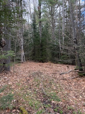 0 Number 9 Road Charlemont, MA 01339 - Photo 13 of 14 Gallery Image 13