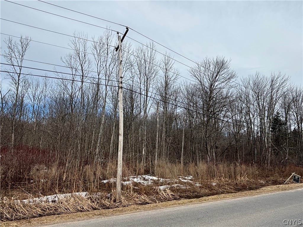 Honey Hill Road Fulton, NY 13069 - Photo 6 of 6