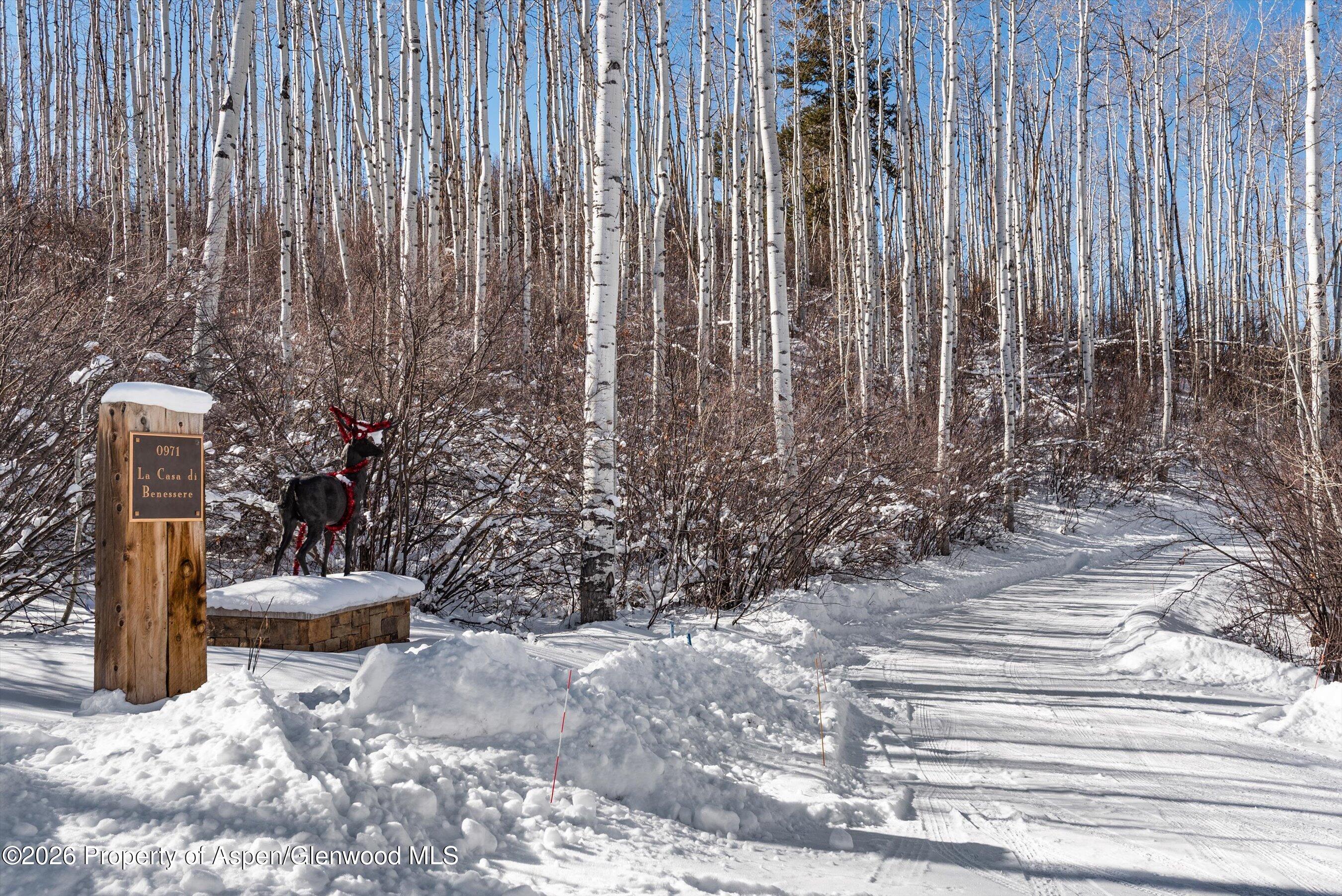 971 Cluny Road Aspen, CO 81611 - Photo 2 of 39 a view of outdoor space and yard