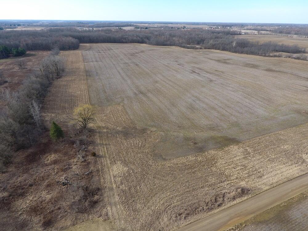7351 Tamarack Road Pittsford, MI 49271 - Photo 11 of 63 11