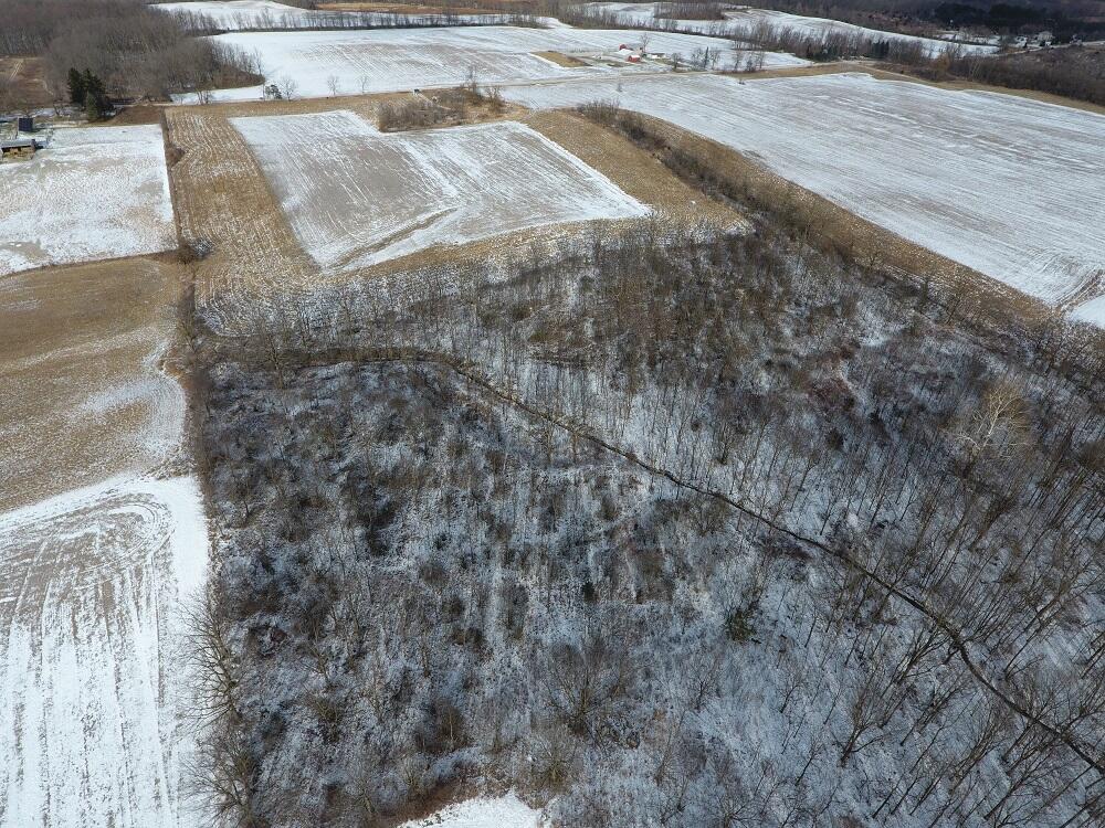 7351 Tamarack Road Pittsford, MI 49271 - Photo 19 of 63 4