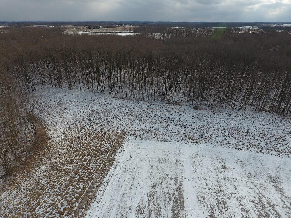 7351 Tamarack Road Pittsford, MI 49271 - Photo 25 of 63 10