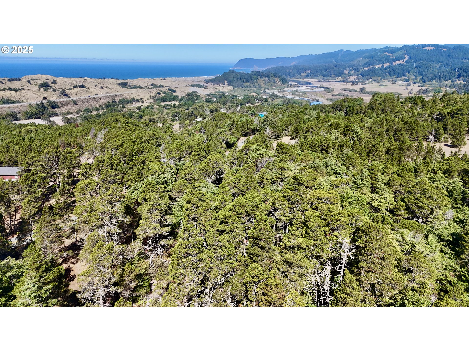 Carpenterville Road, Unit 41/42 Brookings, OR 97415 - Photo 1 of 32 a black and white photo of a forest