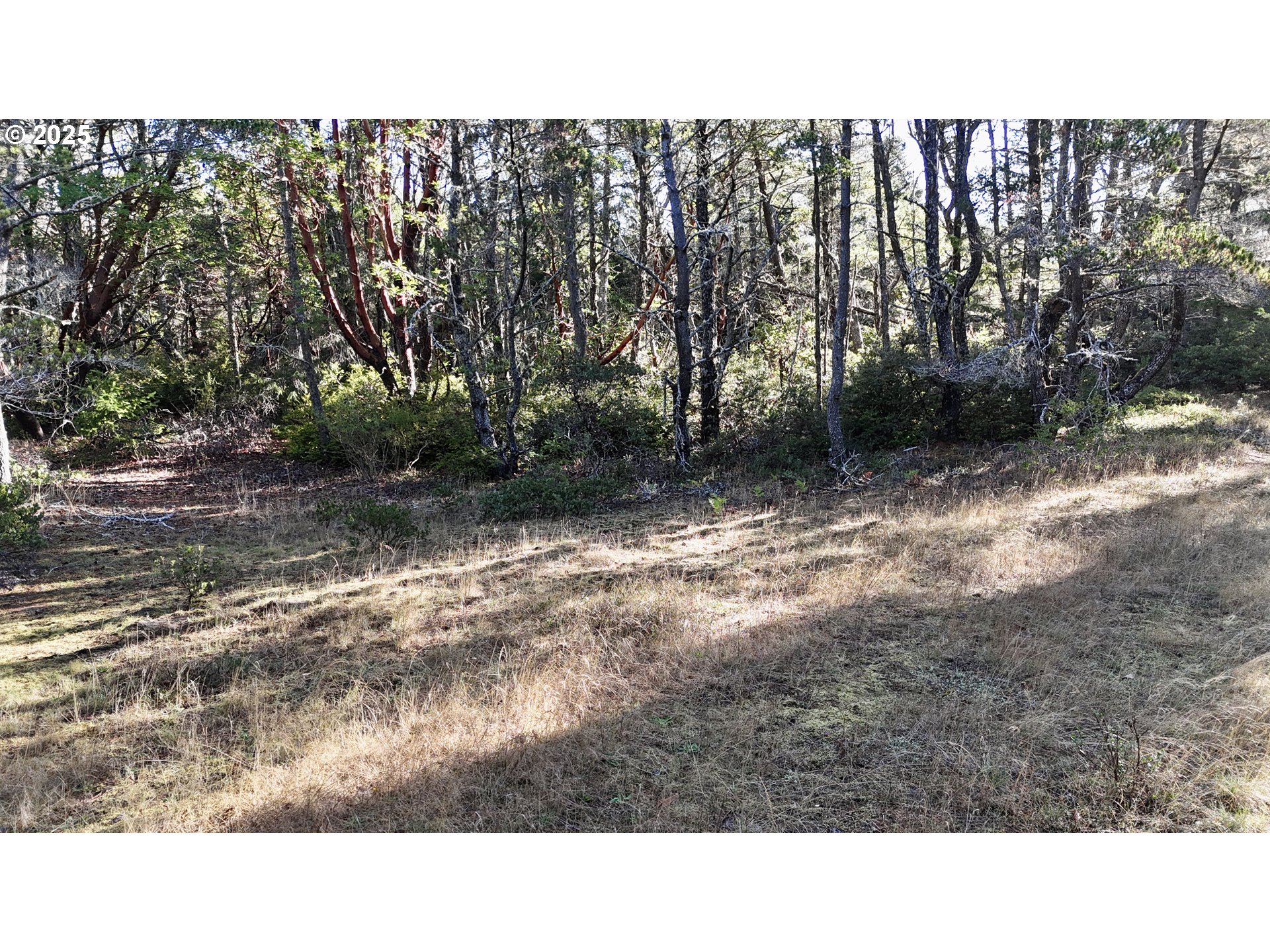 Carpenterville Road, Unit 41/42 Brookings, OR 97415 - Photo 11 of 32 a open area of a yard