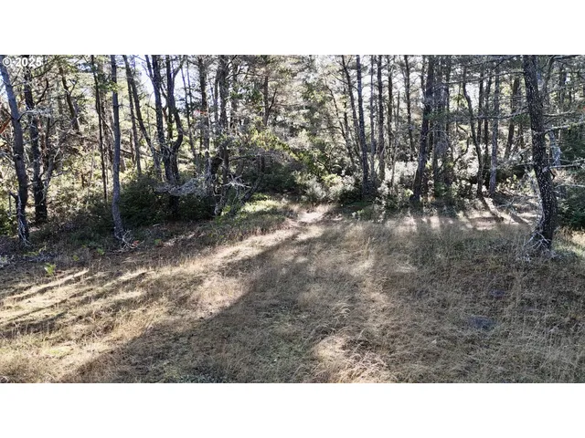 a black and white photo of a house