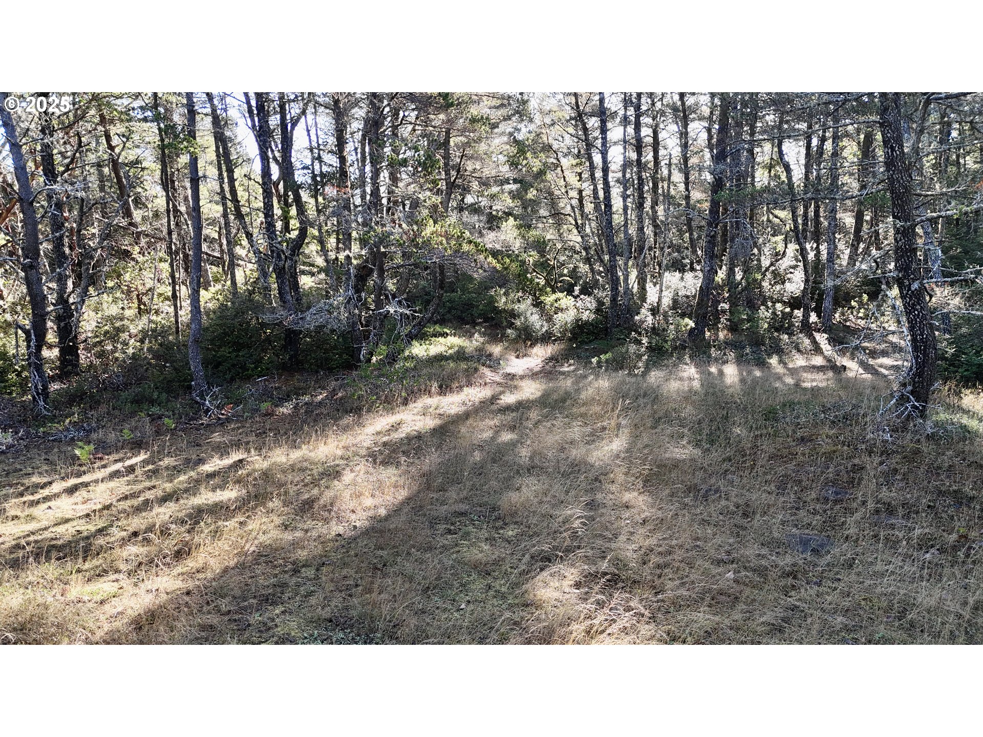 Carpenterville Road, Unit 41/42 Brookings, OR 97415 - Photo 12 of 32 a open area of a yard