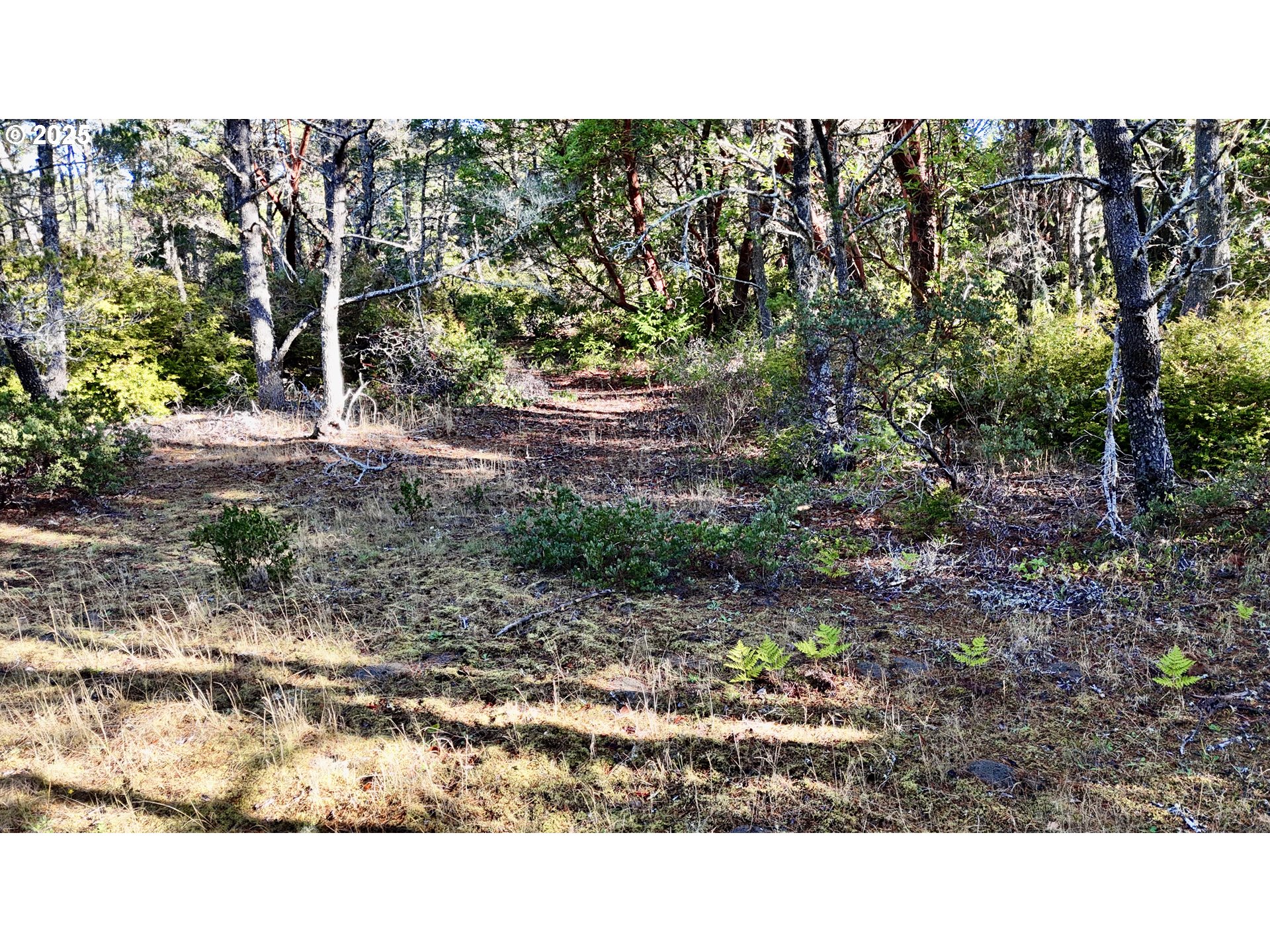 Carpenterville Road, Unit 41/42 Brookings, OR 97415 - Photo 13 of 32 a black and white photo of a house