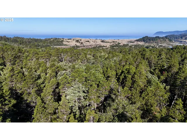 a open area with mountains in the background