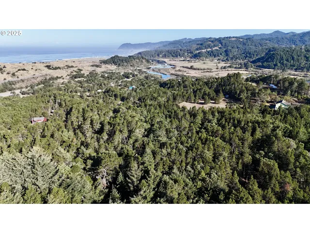 a black and white photo of a field