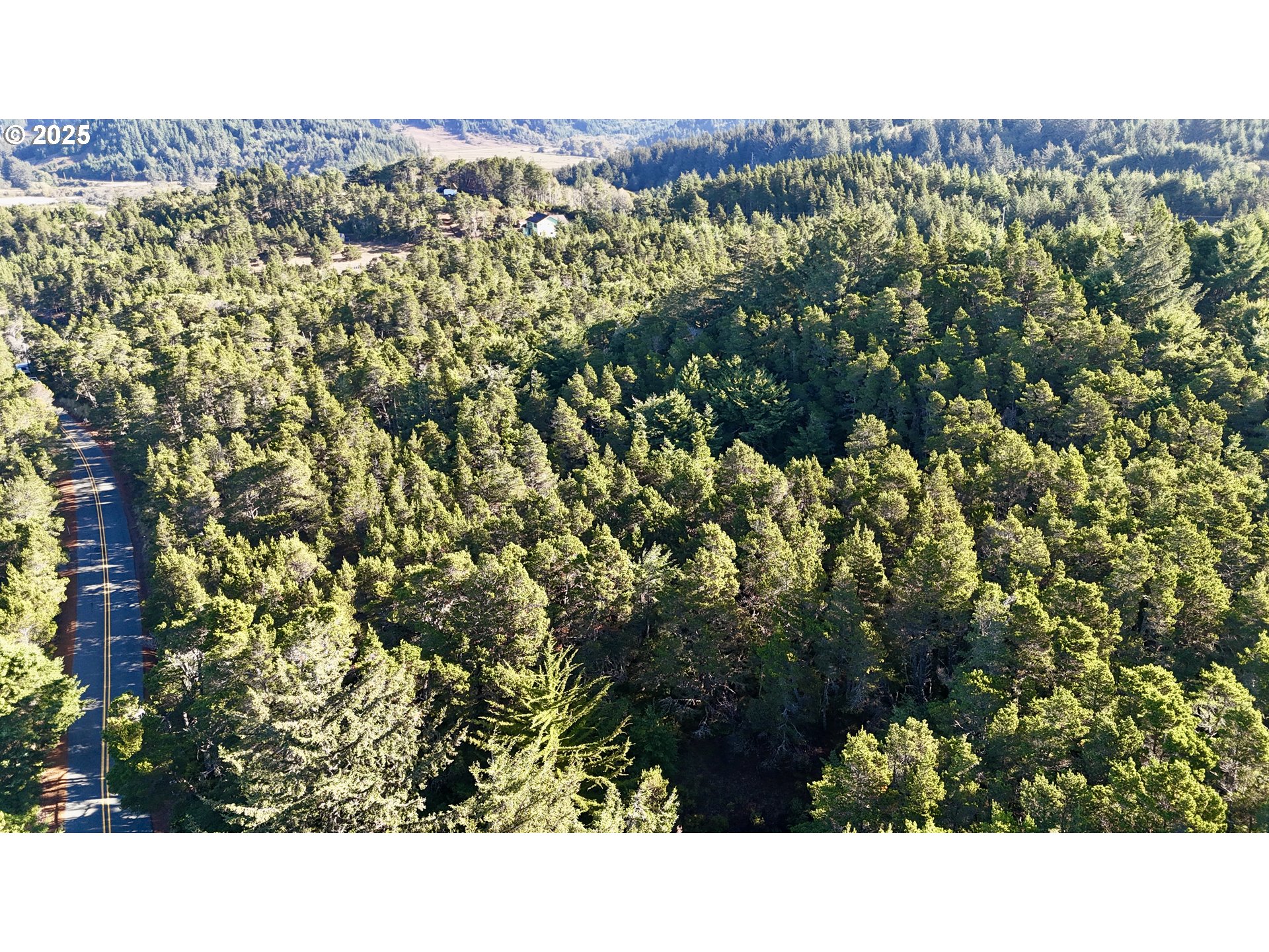 Carpenterville Road, Unit 41/42 Brookings, OR 97415 - Photo 23 of 32 a black and white photo of a forest