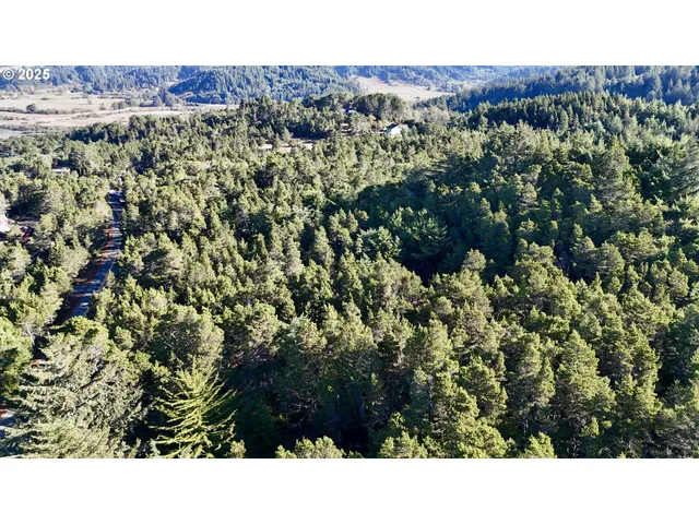 a black and white photo of a house