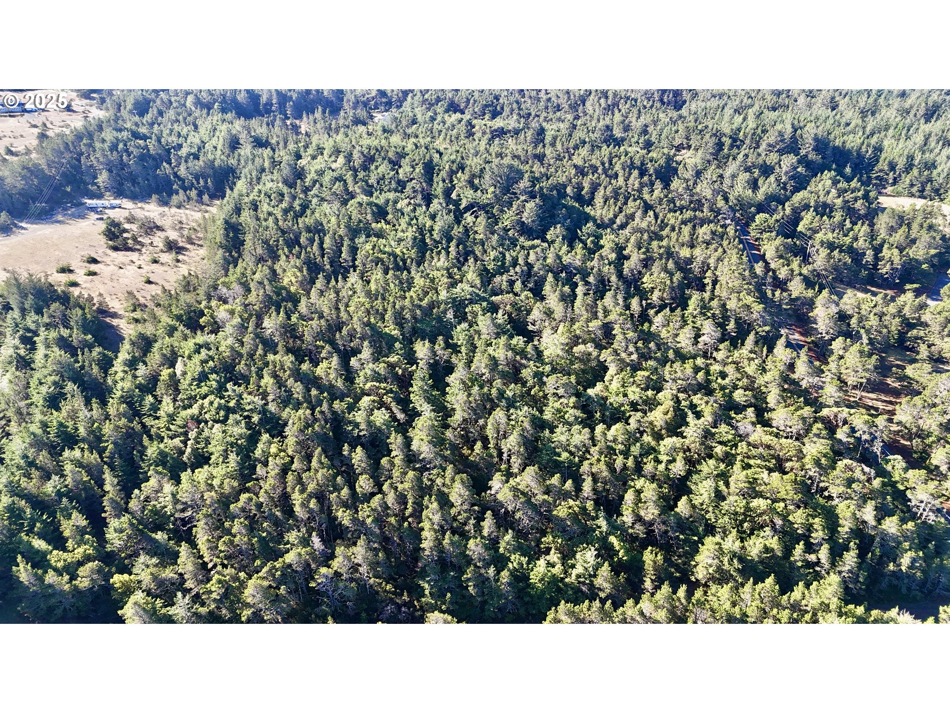 Carpenterville Road, Unit 41/42 Brookings, OR 97415 - Photo 26 of 32 a black and white photo of a tree
