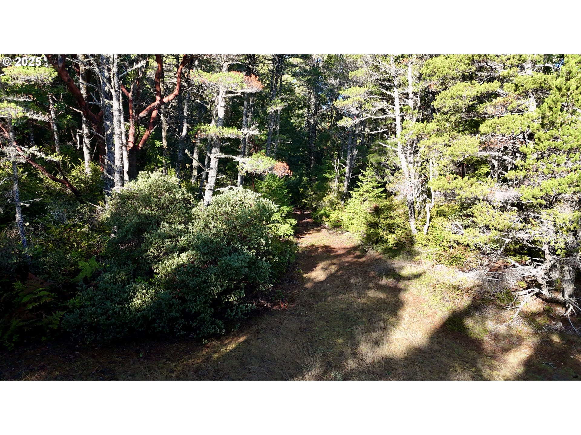 Carpenterville Road, Unit 41/42 Brookings, OR 97415 - Photo 28 of 32