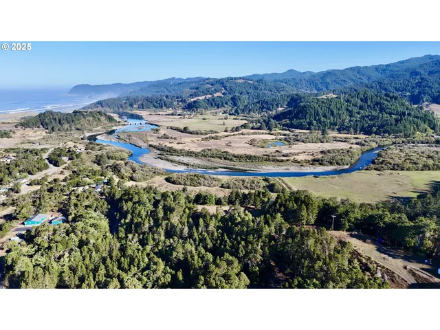 a open area with trees in the background