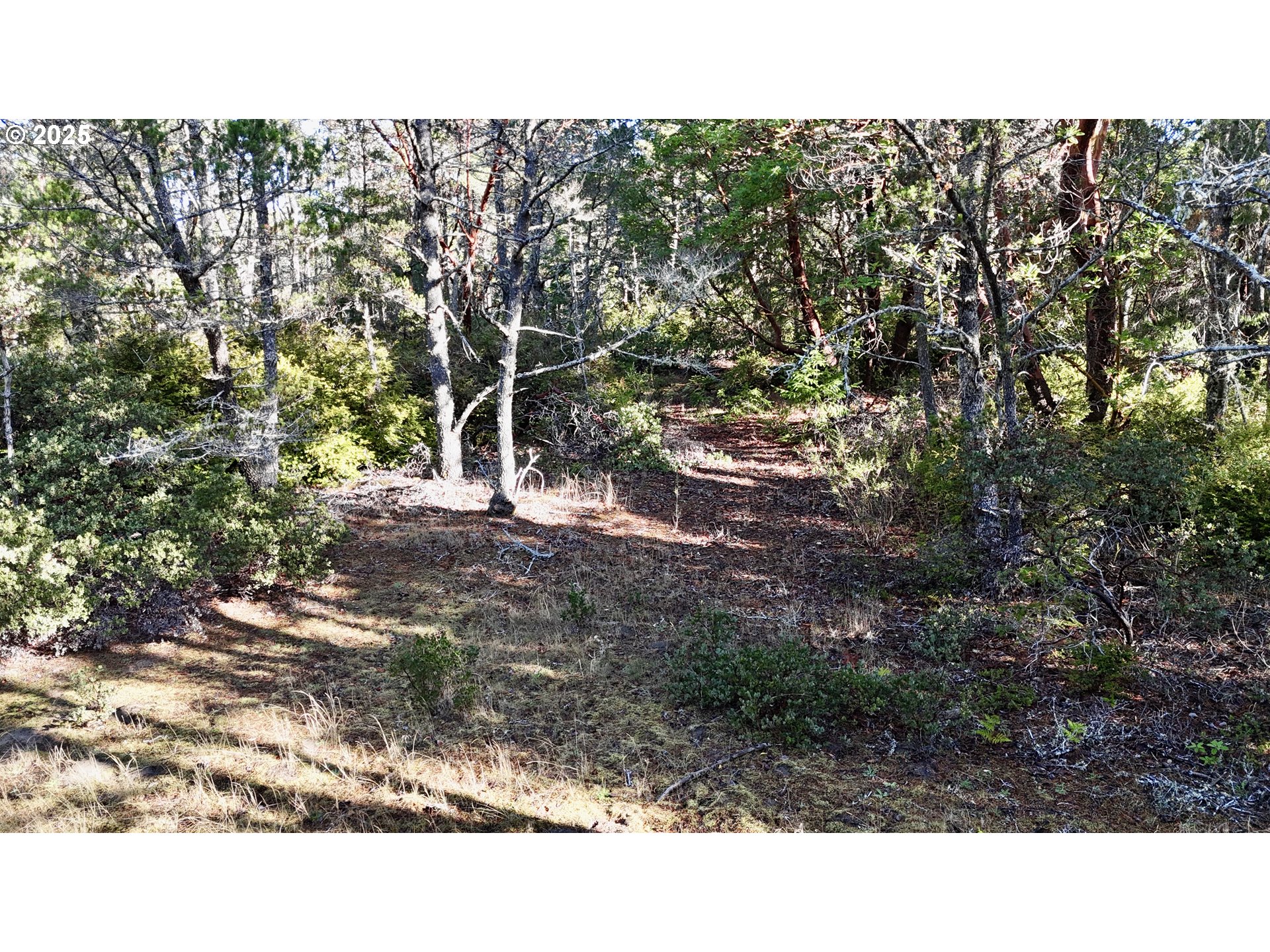 Carpenterville Road, Unit 41/42 Brookings, OR 97415 - Photo 30 of 32 a black and white photo of a house
