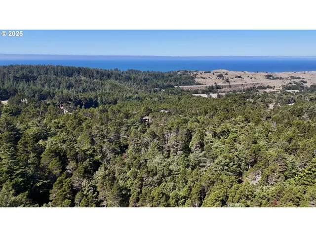 a open area of a house with a yard