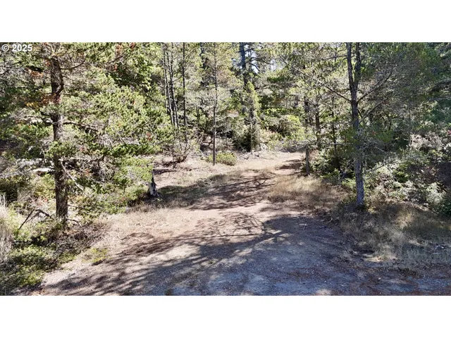 a open area of a house with a yard