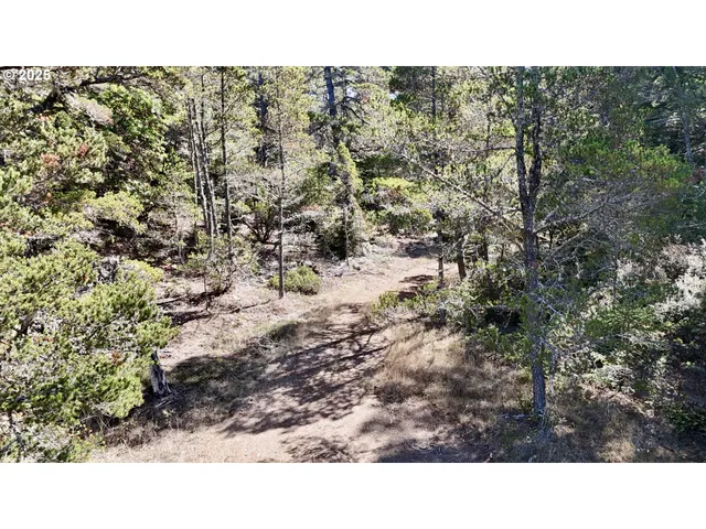 a black and white photo of a house
