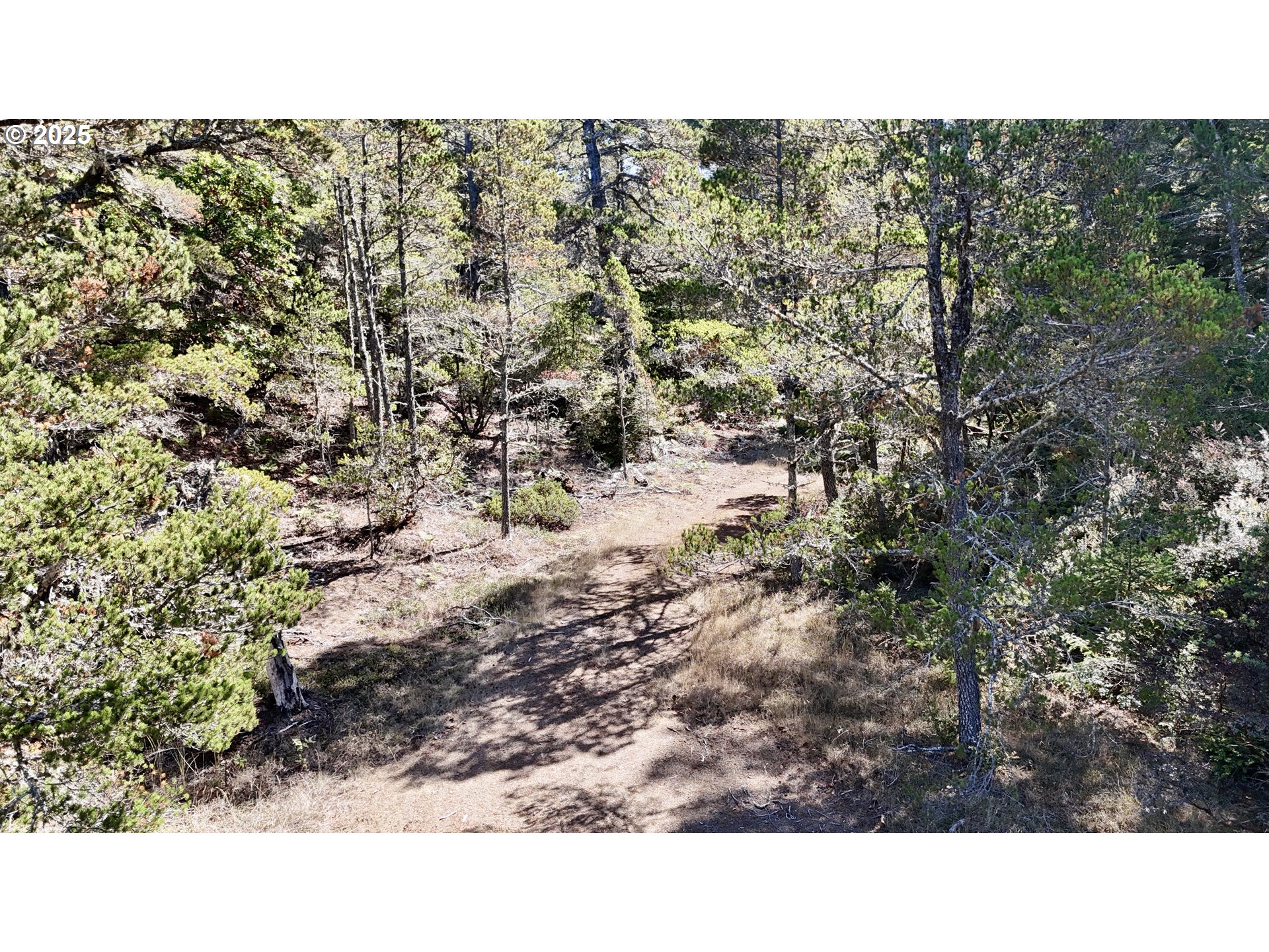 Carpenterville Road, Unit 41/42 Brookings, OR 97415 - Photo 6 of 32 a open area of a house with a yard