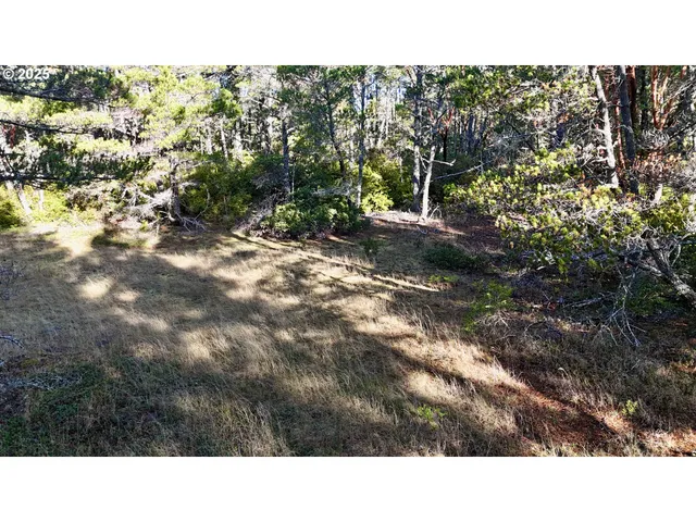 a black and white photo of a house