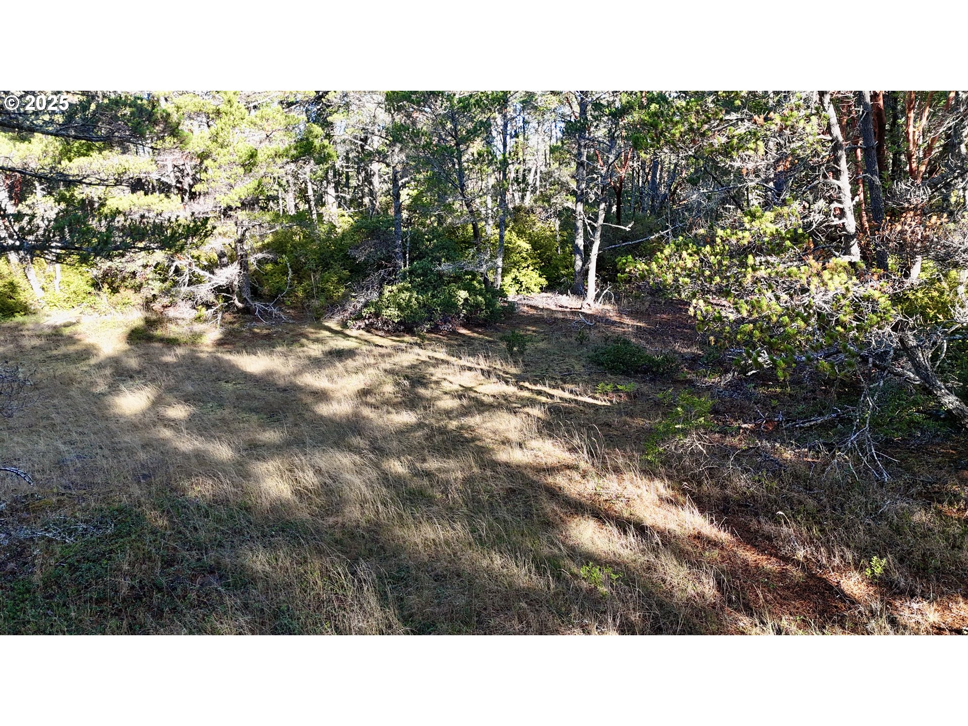 Carpenterville Road, Unit 41/42 Brookings, OR 97415 - Photo 7 of 32 a black and white photo of a house