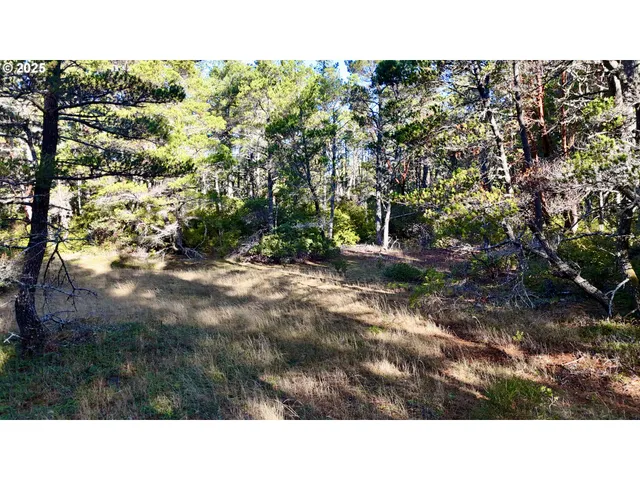 a black and white photo of a house