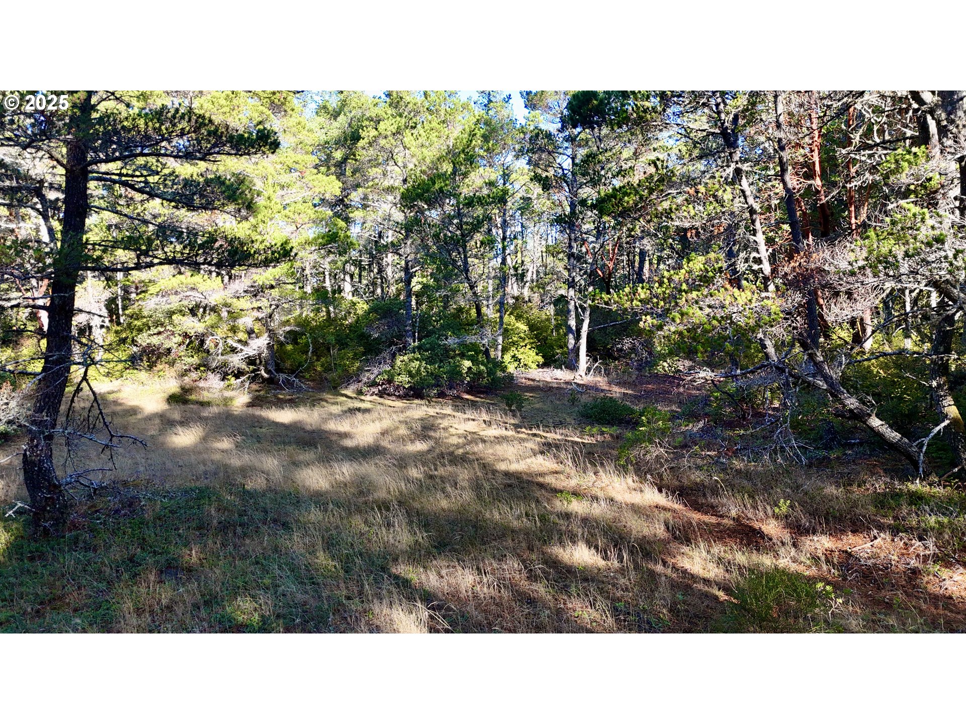 Carpenterville Road, Unit 41/42 Brookings, OR 97415 - Photo 8 of 32 a black and white photo of a house