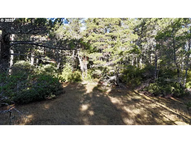 a black and white photo of a house