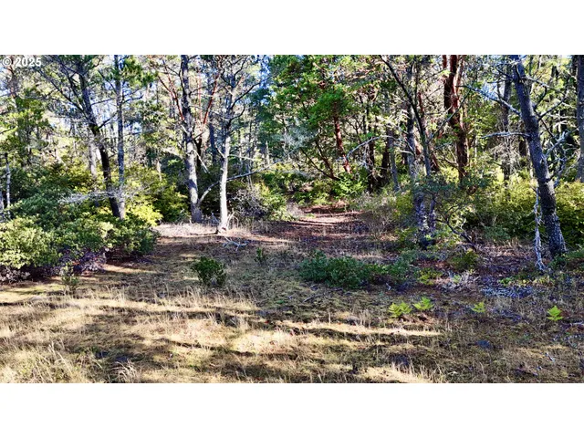 a open area of a yard