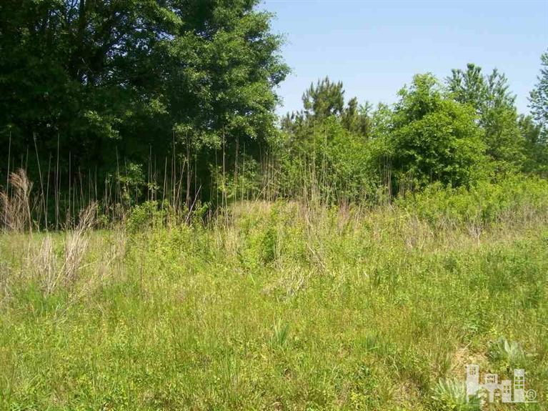 9368 Shiloh Road Ivanhoe, NC 28447 - Photo 1 of 3 Primary Photo