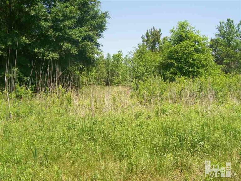 9368 Shiloh Road Ivanhoe, NC 28447 - Photo 2 of 3 Additional Photo