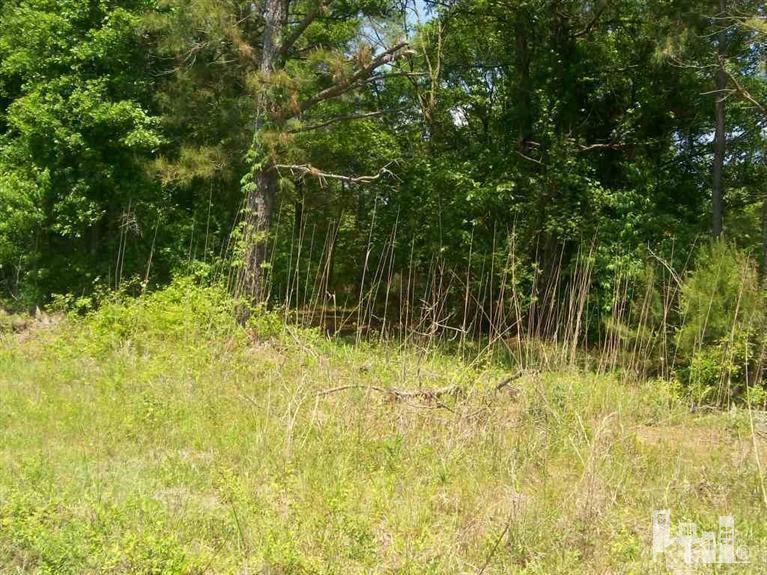 9368 Shiloh Road Ivanhoe, NC 28447 - Photo 3 of 3 Additional Photo