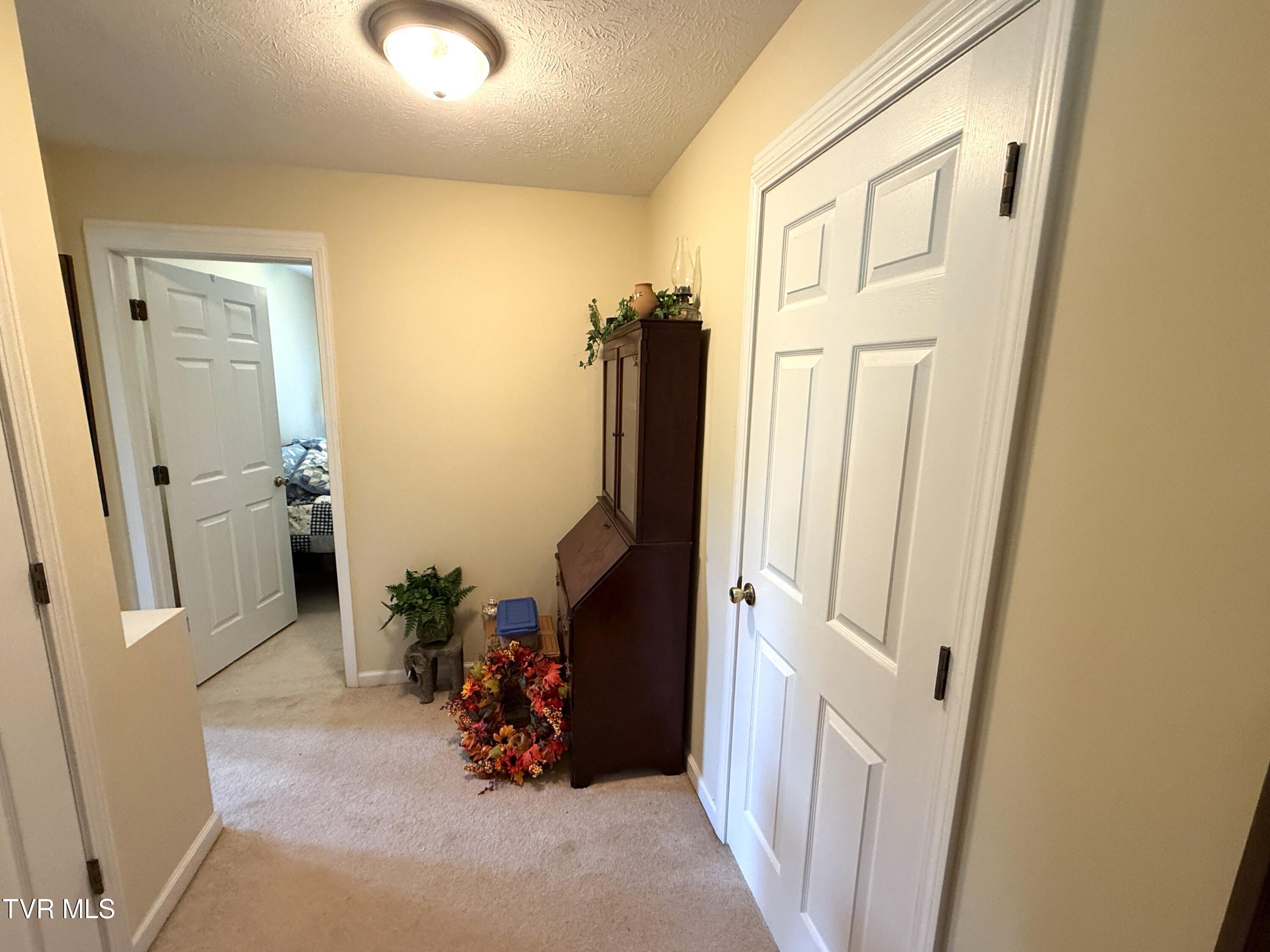 199 Pear Tree Way Del Rio, TN 37727 - Photo 19 of 40 23